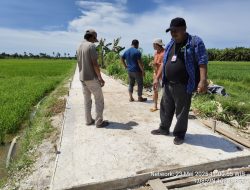 Masyarakat Sungai Tengah Sebut Sangat Terbantu Adanya Pembangunan Jalan Rambe, Saat ini Dalam Proses Pekerjaan