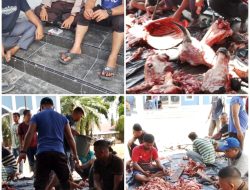 Penghulu Rempak, Masyarakat dan Pengurus Mesjid Sembelih 9 Ekor Sapi Qurban