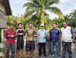 Panen Perdana Budidaya Ikan Patin di Sungai Kayu Ara Raih Kesuksesan, LSM Forkorindo Beri Apresiasi