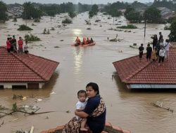WALHI Sumut: Tujuh Perusahaan Diduga Jadi Biang Keladi Bencana Ekologis Tapanuli 
