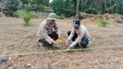 Polsek Bunga Raya Penanaman Jagung Pipit Ketahanan Pangan