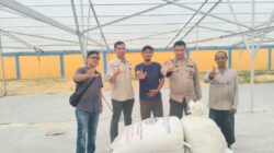 Hasil Panen Jagung Program Ketahanan Pangan Disalurkan ke Bulog Bungaraya