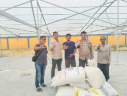 Hasil Panen Jagung Program Ketahanan Pangan Disalurkan ke Bulog Bungaraya