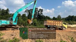 DIDUGA NIKMATI HASIL GALIAN C ILEGAL SEJAK 2018, KADES LUBUK GAUNG DISOROT: APH JANGAN TUTUP MATA!