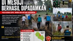 Lima Titik Kebakaran Lahan di Mesuji, Polisi Turun Tangan Cegah Api Meluas
